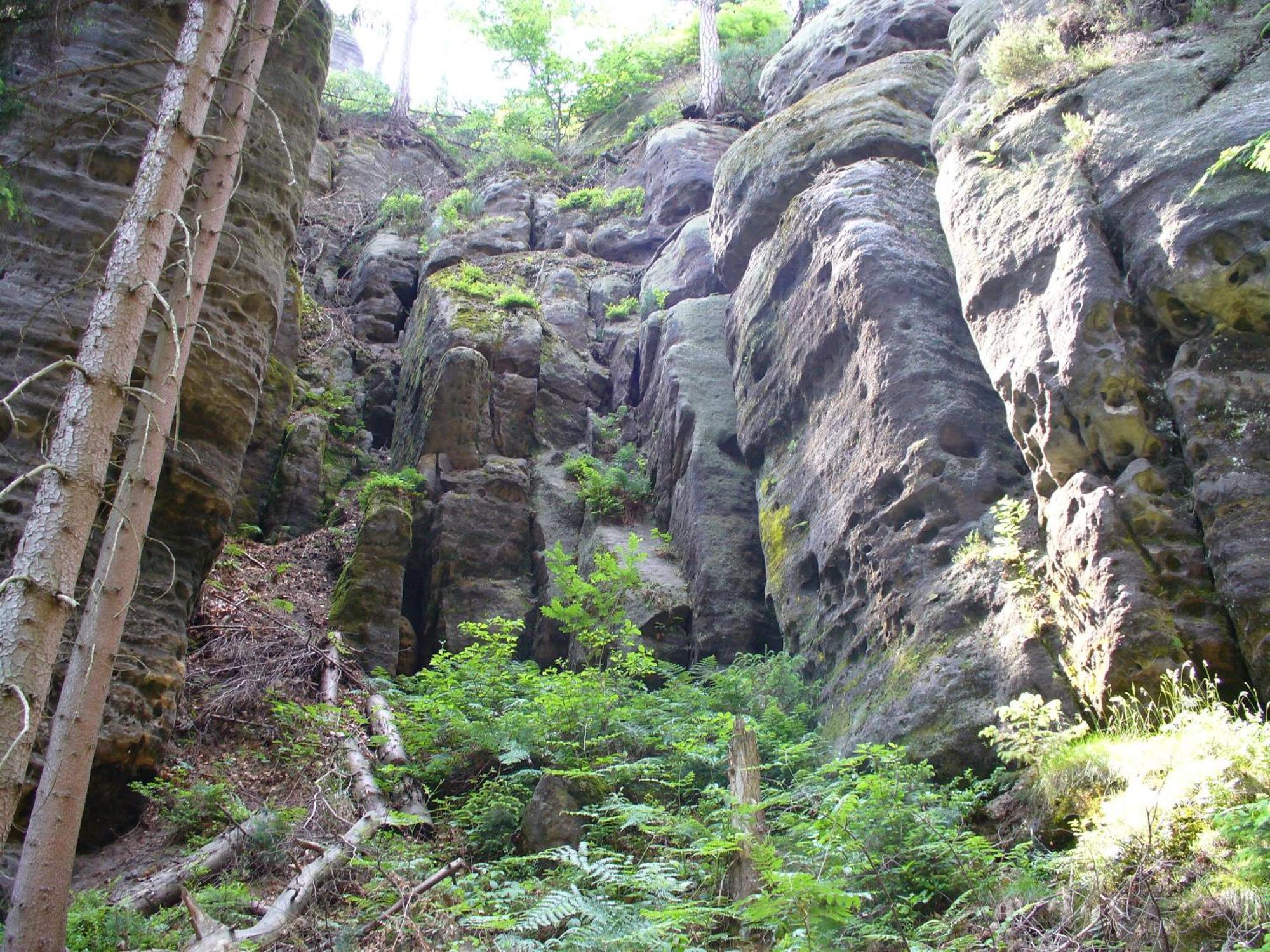 Penzion Braun Rybniste Exterior photo